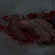This is a change from the game however, the stronger faster mutation was unique to the film.
